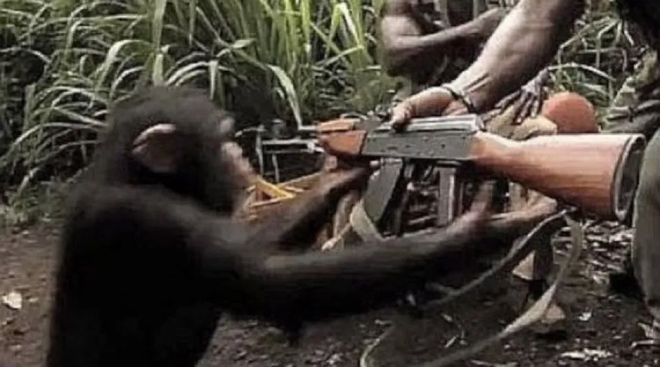 pasted-image-20260303165440