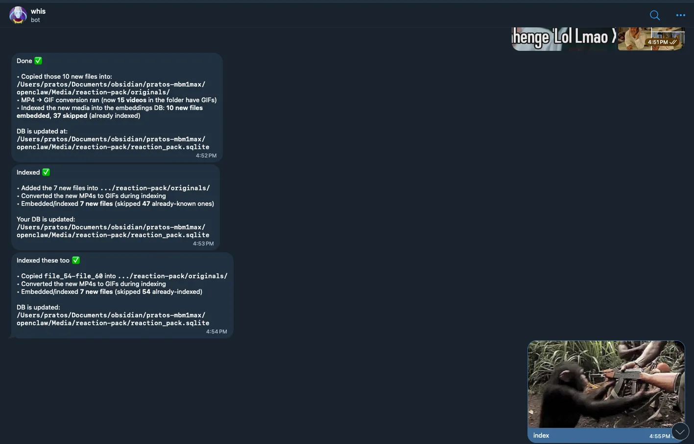 pasted-image-20260303190031